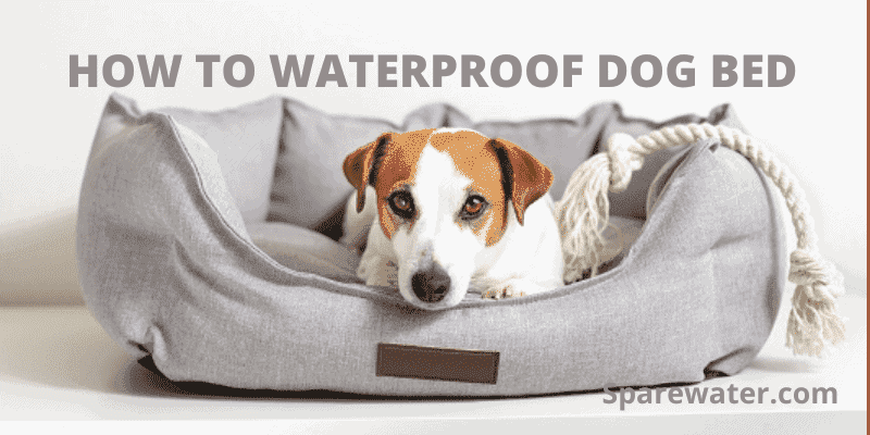 How To Waterproof Dog Bed