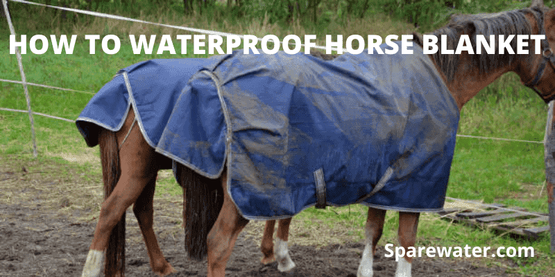 How To Waterproof Horse Blanket