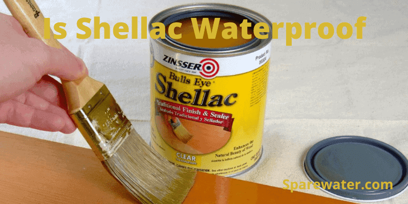 Is Shellac Waterproof