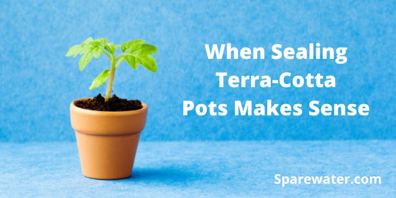 When Sealing Terra-Cotta Pots Makes Sense