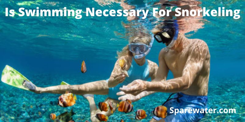 Is Swimming Necessary For Snorkeling